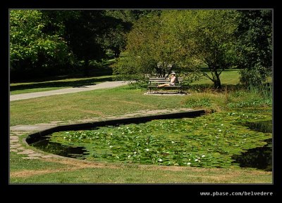 Washington Park Arboretum #06, Seattle, WA