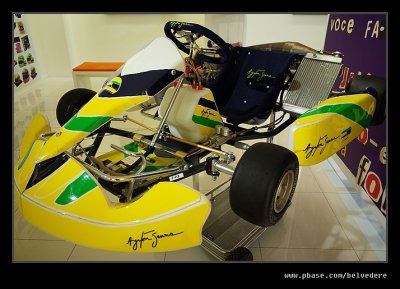 Ayrton Senna Exhibition Turin 2015 #18