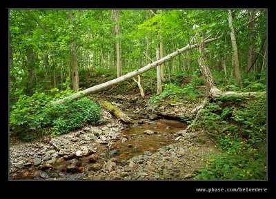 Lone Shieling Trail #04, Cape Breton Highlands, Nova Scotia