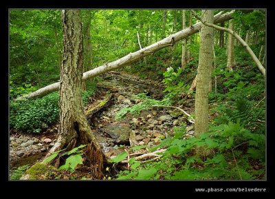 Lone Shieling Trail #05, Cape Breton Highlands, Nova Scotia