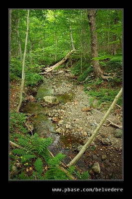Lone Shieling Trail #06, Cape Breton Highlands, Nova Scotia