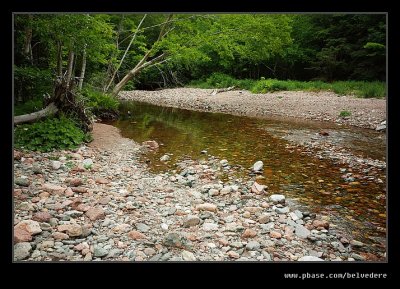 Lone Shieling Trail #07, Cape Breton Highlands, Nova Scotia