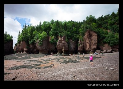 Hopewell Rocks #09, New Brunswick