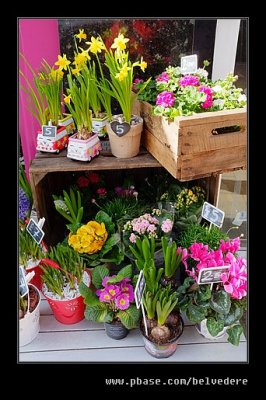 London 2016 - Hampstead Heath Florists