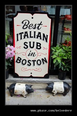 Boston & Freedom Trail #53