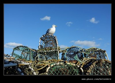 Whitby #05, Summer 2016, North Yorkshire