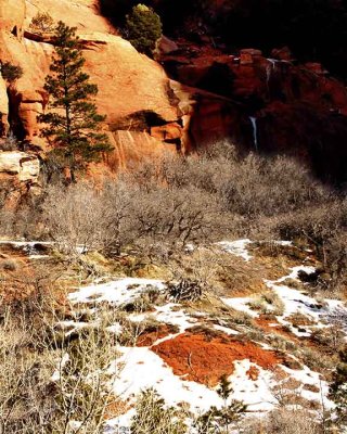 kolob1.jpg
