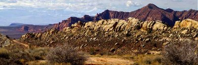 Silver Reef landscape