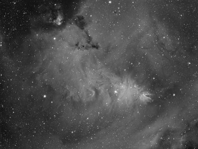 NGC2264, Cone Nebula, Fox Fur Nebula in Ha