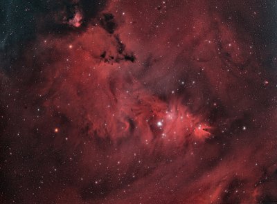 BiColor Cone Nebula Ha + OIII
