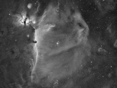 The HorseHead and Flame Nebula in Ha 
