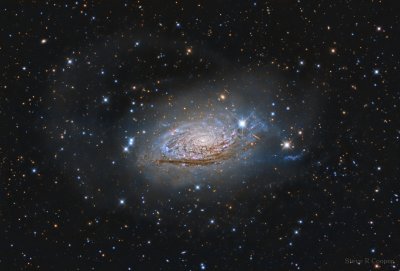 M 63, the Sunflower Galaxy