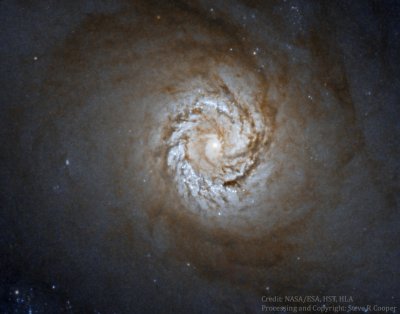 M 61 (NGC 4303) Core