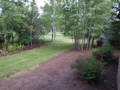 back yard & park