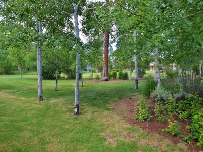 park