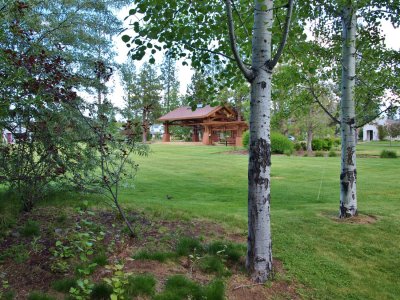 back yard & park