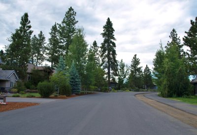 Street