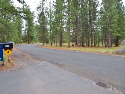street