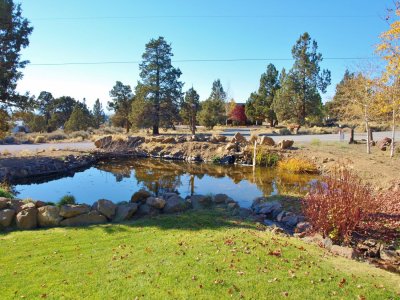 front yard pond
