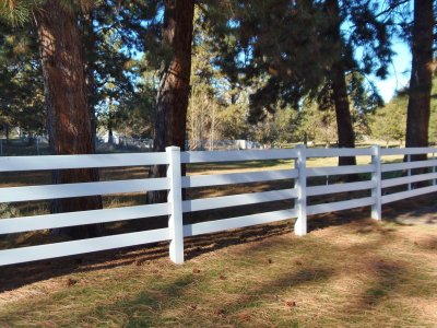 fenced side yard off driveway