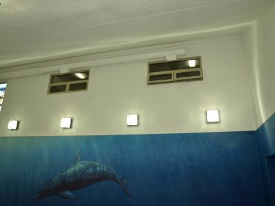 PB170046.jpg