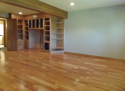 TV Room lower level