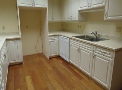 guest kitchen-lower level