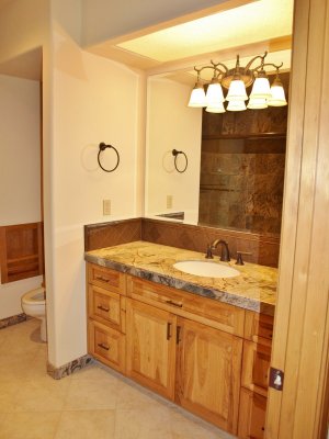 bathroom lower level