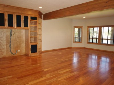 Tv room lower level