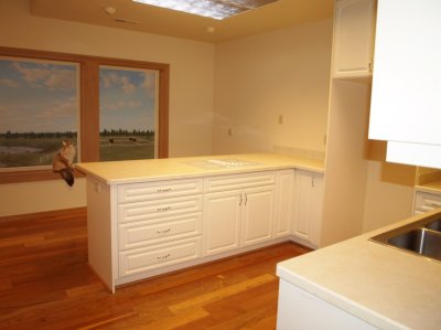 guest kitchen lower level (custom mural of property views)