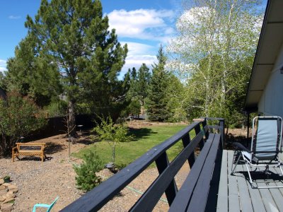 looking at the front yard