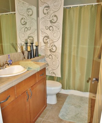Downstairs bathoom