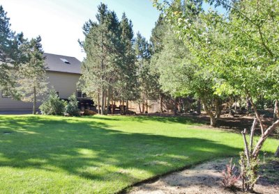 back yard