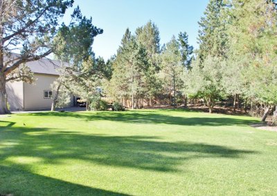 back yard