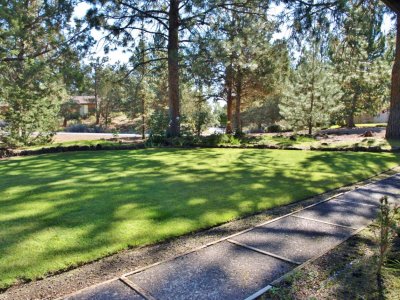 front yard