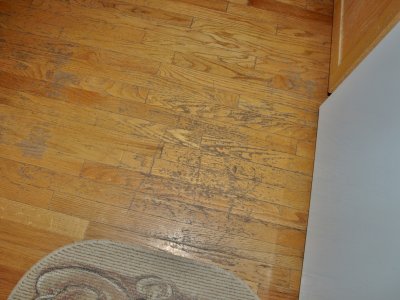 P2203631.jpg