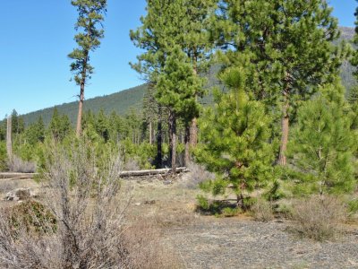 view of Black Butte