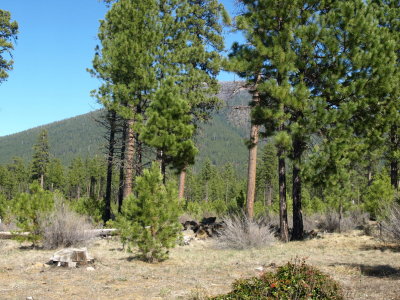 view of Black Butte