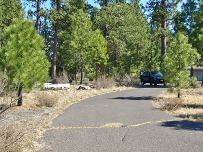 driveway looking out to street