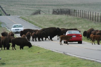* Traffic Jam *