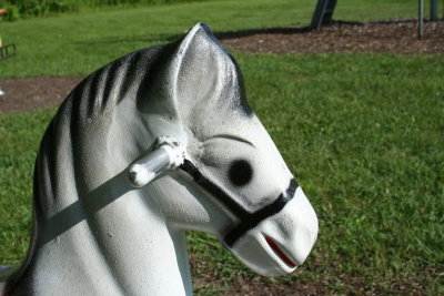 Horsin' Around...