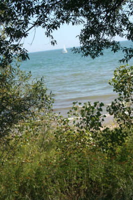 The Ship`