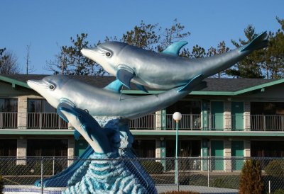 Dolphin Ornament