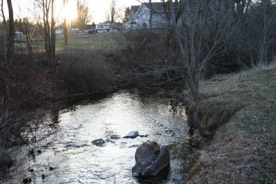 Small Park