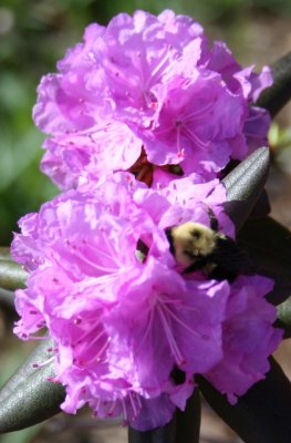 IMG_1388.1.jpg