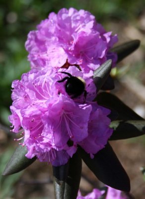 IMG_1392.JPG