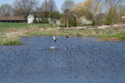 Appleton Memorial Park