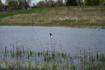 Appleton Memorial Park