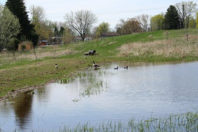 Appleton Memorial Park
