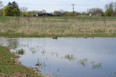 Appleton Memorial Park